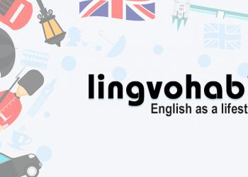 Как организовать общение с иностранцами для изучения английского языка Общение по скайпу с американцами